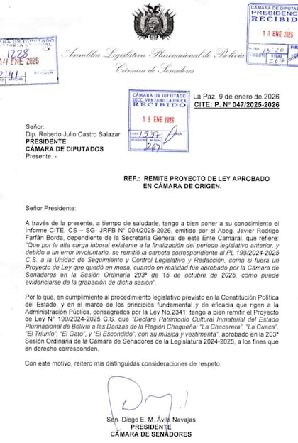 Polémica ley: el Senado de Bolivia declaró “patrimonio cultural” de ese país a la chacarera, el gato, el escondido, sus bailes y vestimentas