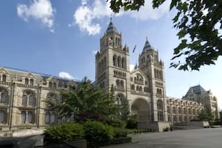 Policía británica inculpa a un hombre por el apuñalamiento de dos judíos en Londres