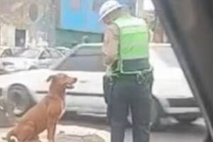 El gesto de un policía de tránsito con un perro que llenó de emoción a todos: “Esperanza en la humanidad”