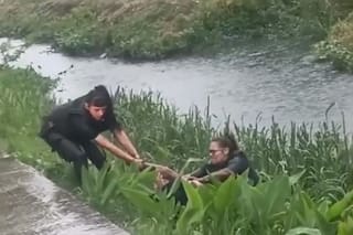Cuatro policías se tiraron a un canal para atrapar a un hombre que huyó tras agredir a su expareja