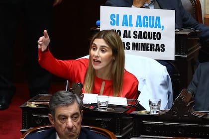 Politica - Tratamiento de la modificación de la Ley de Glaciares. Camara de Diputados, Congreso, CABA.