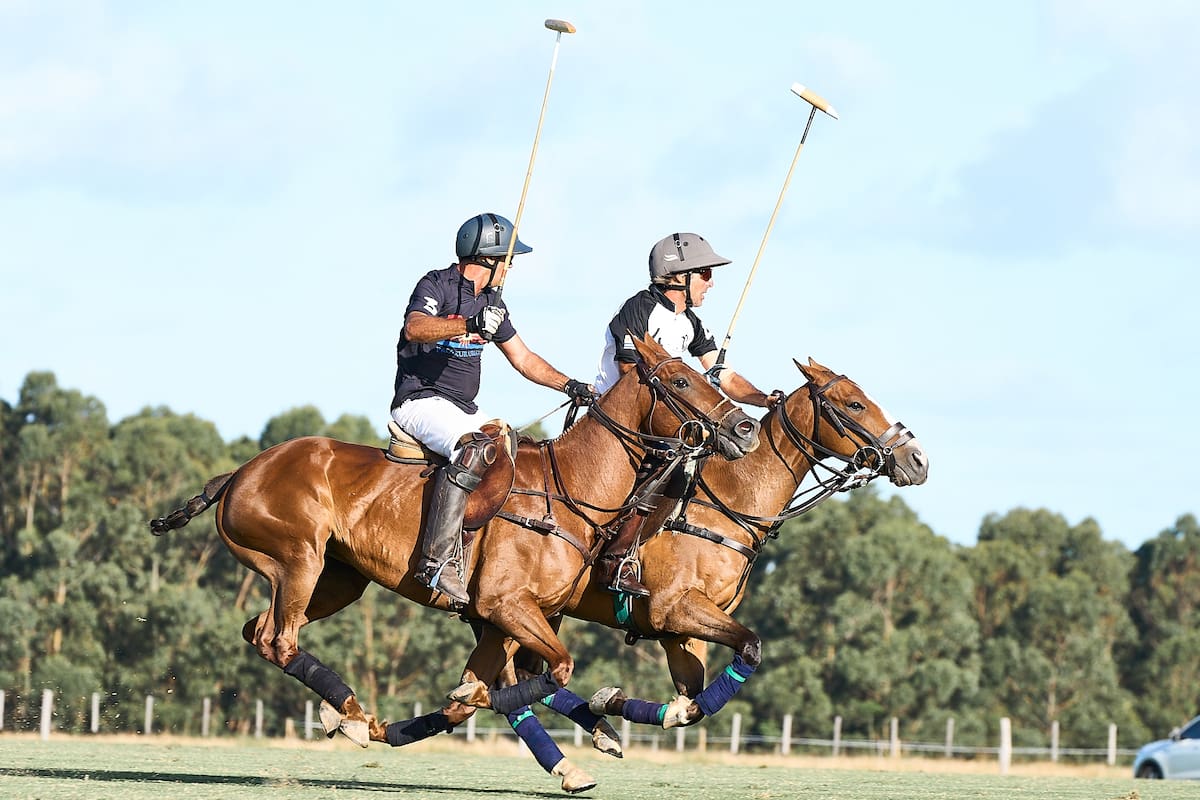 Punta del Este 2025: polo, arte, música en vivo y las mejores actividades del verano