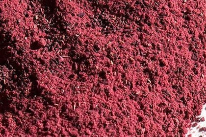 Polvo de hibiscus para preparar té