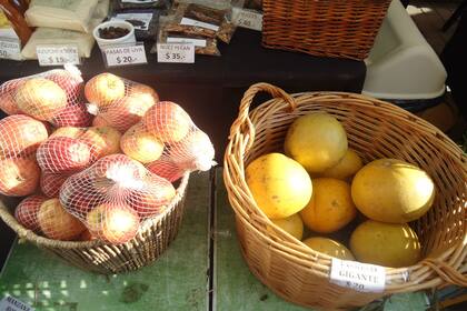 ¡Pomelos realmente gigantes!