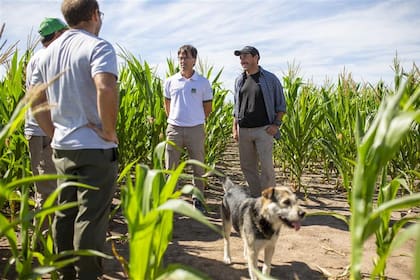 Pone foco exclusivo en el impacto social, ligado a certificación de granos y controles sobre proveedores