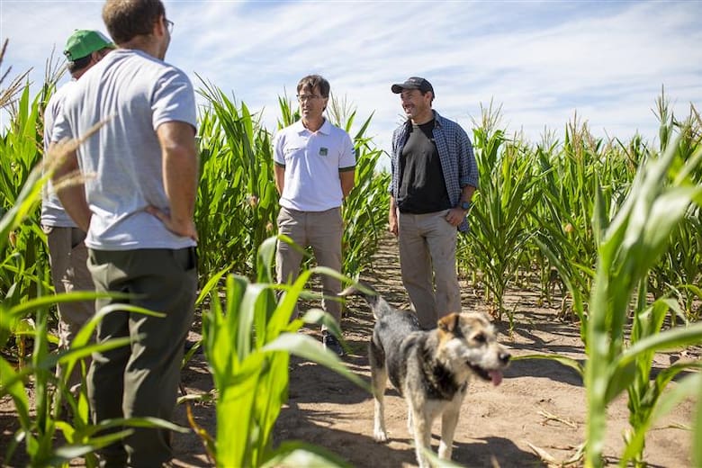 Cofco logra crédito por US$435 millones con metas de sustentabilidad