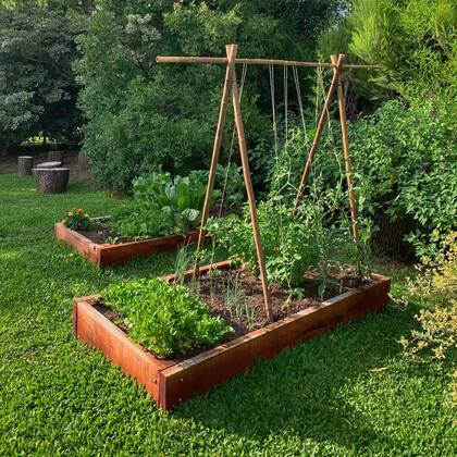 Poner en marcha una huerta cuesta desde $30.000