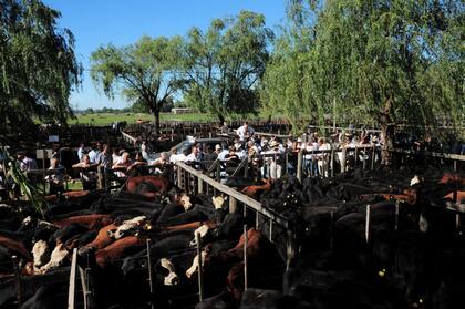 Ponti anticipó que en términos de comercialización, habrá un ritmo de ventas más pausado que el del año pasado, en plena seca