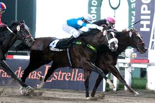 Carreras de las Estrellas. Los videos de los siete grandes premios en Palermo