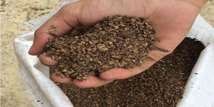 Por cada 1000 kilogramos de aceituna se genera aproximadamente 800 kilos de orujo, es decir, el rendimiento industrial de este residuo es del 80%