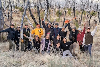 Por cada gorra vendida, plantan un árbol en un parque del sur de la Argentina