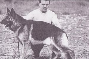 Por Chonino, se fijó el 2 de junio como el Día nacional del Perro en la Argentina