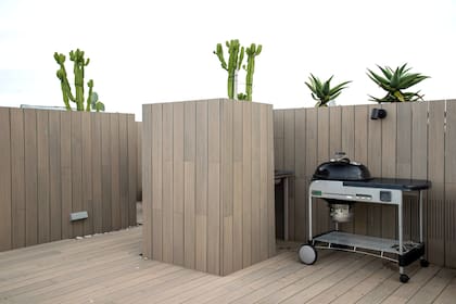 Por detrás de la zona de parrilla, emergen como esculturas el Aloe ferox y Euphorbia ingens, que destacan sus siluetas por detrás del deck de PVC.