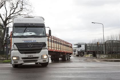 Por día, 270 camiones con ganado ingresan en el predio de Lisandro de la Torre y De los Corrales