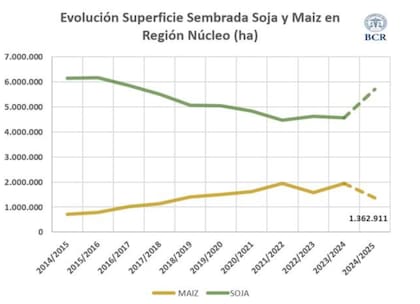 Por efecto de la chicharrita, la “Niña” y la baja de los precios internacionales en esta próxima campaña el maíz tendría una caída de área de 600.000 ha, o 30% menos. De concretarse, sería la mayor caída del cultivo desde que GEA sigue la región, la mayor baja de los últimos 17 años