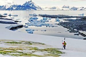 "Nieve verde". El fenómeno que tiñe a la Antártida por el cambio climático