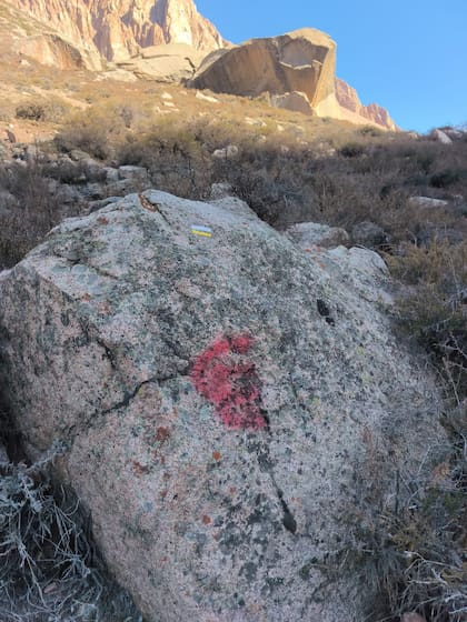 Por el hecho, los responsables podrían pagar una multa de más de dos millones de pesos