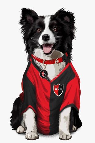 Por el momento, los perros podrán asociarse a Newell's Old Boys (foto), Rosario Central, Ríver Plate, Rácing, Independiente, Unión, Talleres, Belgrano, Gimnasia, Argentinos Jrs., Unión y San Lorenzo (la camiseta no viene en el paquete de benvenida)