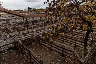 Cepo a la carne: es total el acatamiento al paro de la Mesa de Enlace