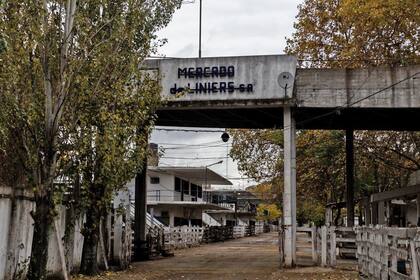 Por el paro del campo el mercado de Liniers se encuentra vacío y sin movimiento