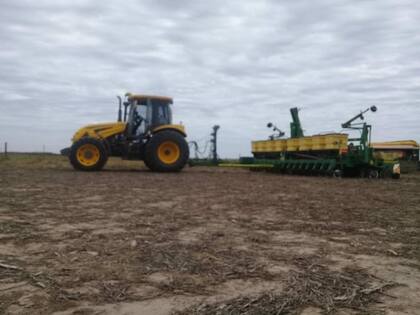 Por estos días se está sembrando maíz en las principales zonas agrícolas
