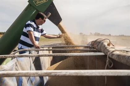 Según FADA, el Estado en todos sus niveles se lleva de una hectárea agrícola el 64,3% de la renta que genera