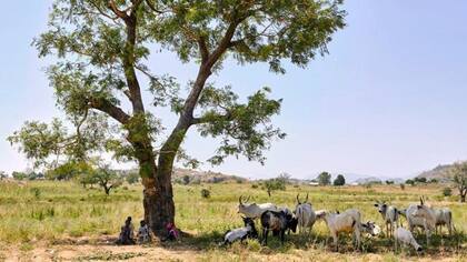 Por haber crecido en la Nigeria rural, Sulaiman entiende los problemas que contribuyen a que se produzcan secuestros