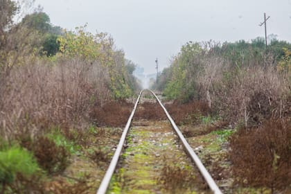 Por Ireneo Portela solo pasa el tren de carga.