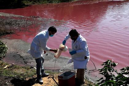 Marcelo Coronel y Francisco Ferreira, técnicos del Laboratorio Multidisciplinario de la Universidad Nacional, toman muestras de la laguna Cerro donde se colorea el agua, en Limpio, Paraguay
