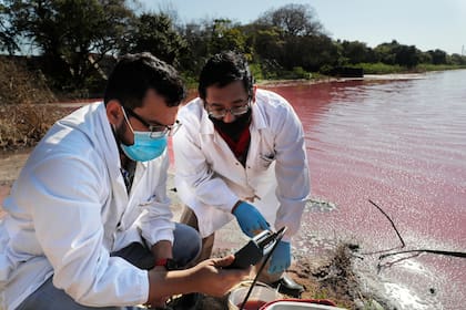 Marcelo Coronel, a la izquierda, y Francisco Ferreira, técnicos del Laboratorio Multidisciplinario de la Universidad Nacional, toman muestras de la laguna Cerro donde se colorea el agua, en Limpio, Paraguay