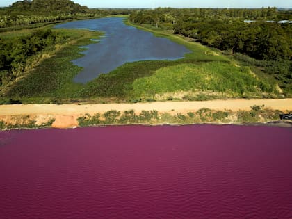 Un camino divide la laguna Cerro, el agua tiene un llamativo color púrpura en la zona que rodea a la curtiduría Waltrading, en Limpio, Paraguay