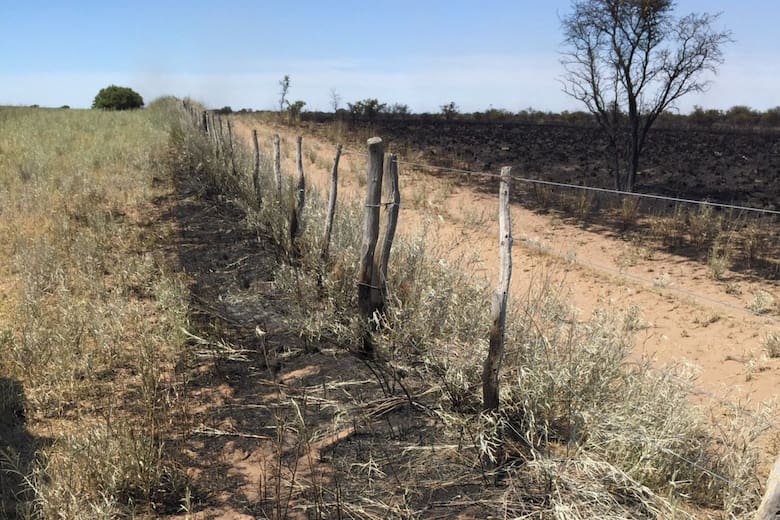 Dificultades burocráticas en el sector agropecuario: el caso de un productor de La Pampa