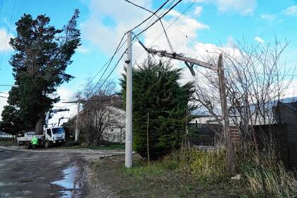 Por los fuertes vientos registrados en Bariloche, algunos árboles dañaron cables de electricidad.