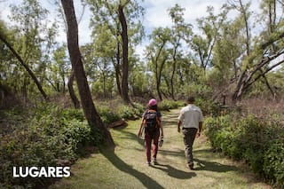 Aldeas centenarias, bodegas y baños de bosque para conocer el lado B del destino