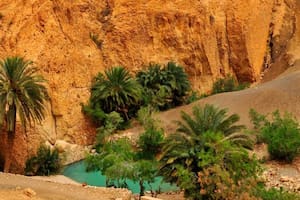 Por milenios, los oasis atrajeron y cautivaron, y ofrecieron descanso al viajero del desierto, con piscinas al aire libre y el alivio de la sombra de las palmeras