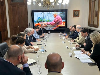 Por parte del Gobierno estuvieron el secretario de Coordinación de Producción del Ministerio de Economía, Pablo Lavigne, el secretario de Agricultura, Sergio Iraeta; y el coordinador de gabinete, Martín Fernández