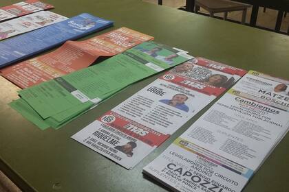 Por primera vez, en Río Negro se vota con boletas de colores