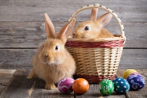 ¿Por qué en algunos países los huevos y los conejos son símbolos de la Pascua?