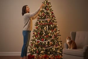 Por qué se arma hoy el árbol de Navidad