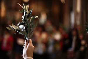 Qué significa el ramo de Olivo que da inicio a la Semana Santa