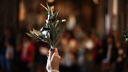 La Semana Santa comienza con el Domingo de Ramos