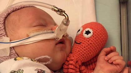 Por qué un pulpo tejido a crochet es la mejor compañía para los bebes prematuros