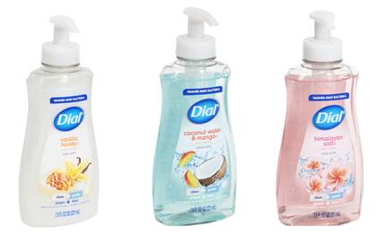 Por solo US$1,25 se puede llevar un jabón especial para los dispensadores. (Dollar Tree)