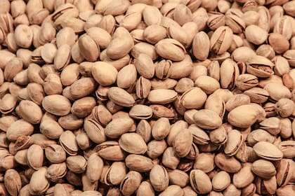 Por su porosidad, las cáscaras de pistacho pueden ayudar a airear suelos compactos o incluso actuar como filtro natural en fuentes de jardín