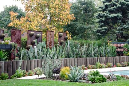 Por su rusticidad, las suculentas suelen ser plantas que requieren un bajo mantenimiento. Sin embargo, es importante prevenir que sufran el ataque de plagas o enfermedades