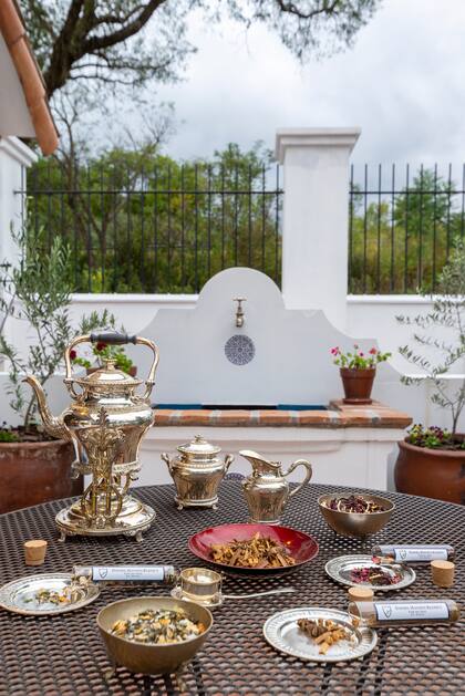 Por su ubicación, estilo y tradición, la propuesta de Flor del Pago es definida por su autor como de cocina ítalo-colonial.