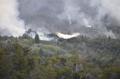 Por tierra y por aire, continúa el combate del fuego en el Parque Nacional Los Alerces