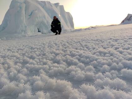 Por un particular fenómeno físico, la Base San Martín amaneció con "flores de hielo"