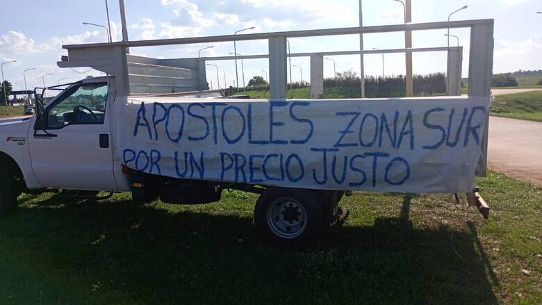 productores yerbateros