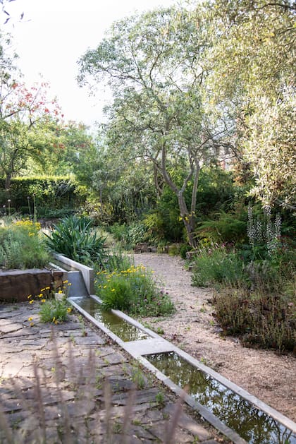 Por Verónica Saguier